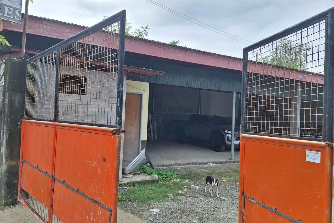 Land for Sale in Sumacab South, Cabanatuan, Nueva Ecija – photo 2