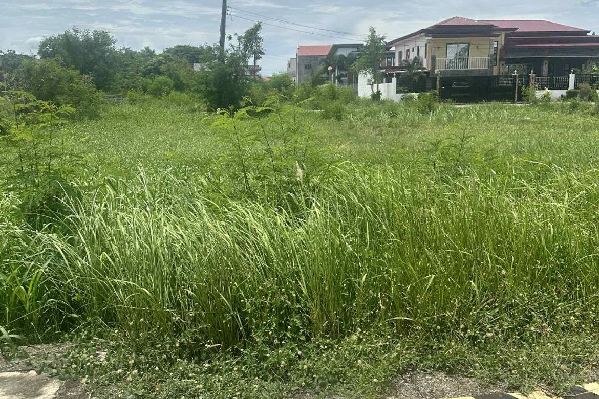 Land for Sale in Sumacab South, Cabanatuan, Nueva Ecija – photo 2