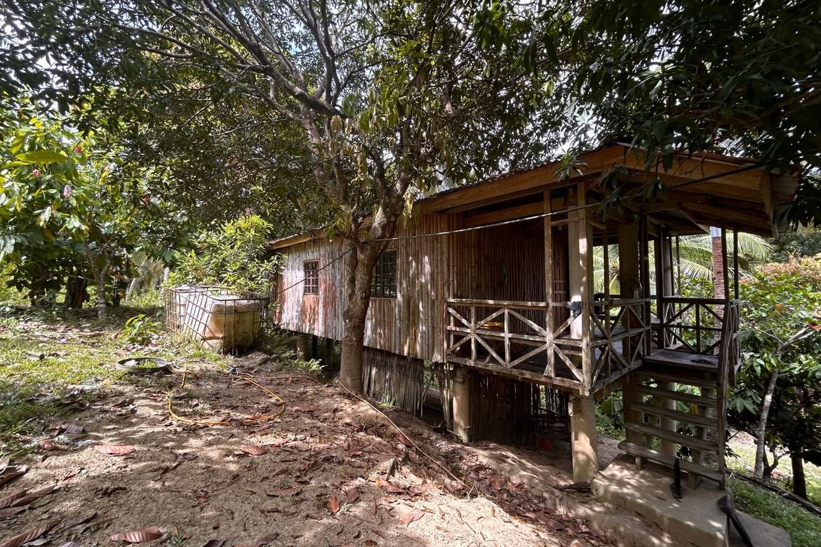 Land for Sale in Sumon, Tuburan, Cebu – photo 2
