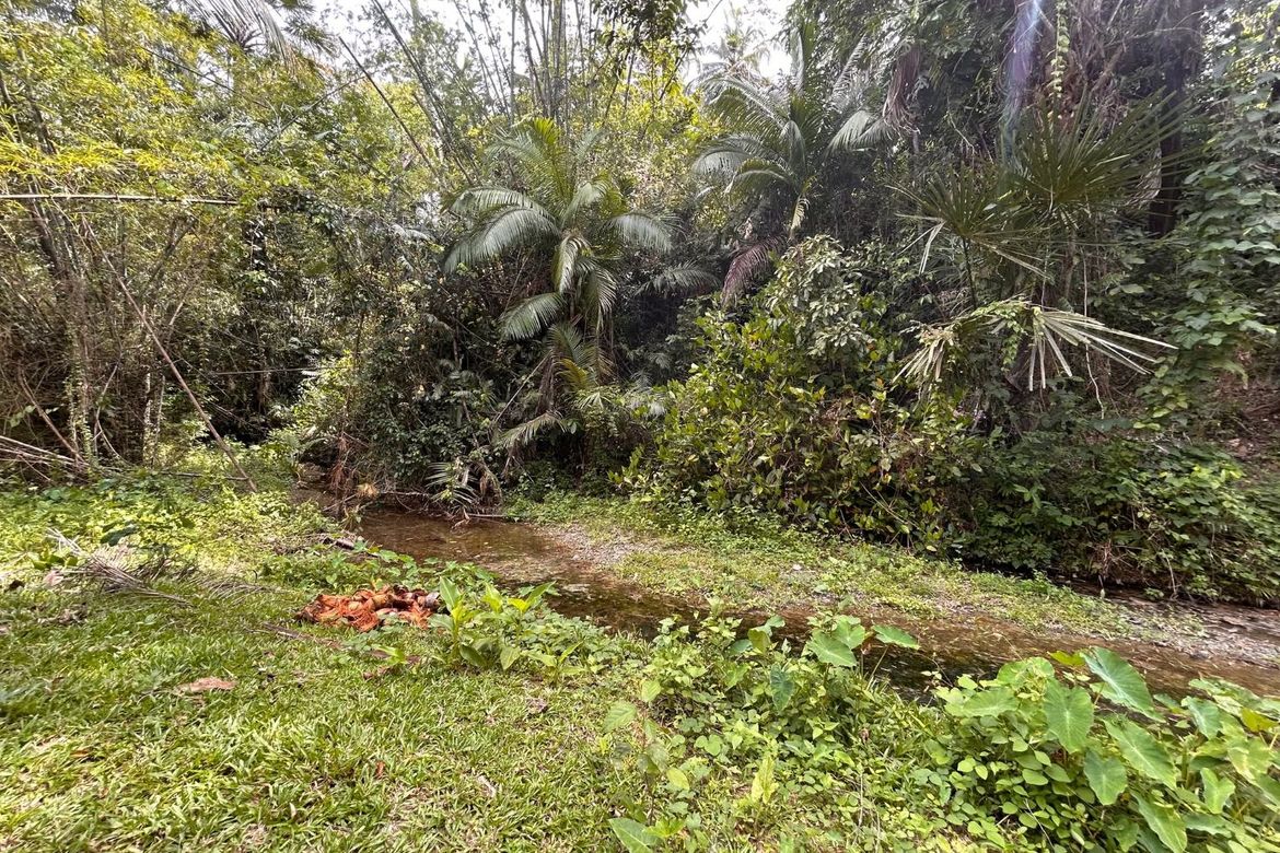 Land for Sale in Sumon, Tuburan, Cebu – photo 5