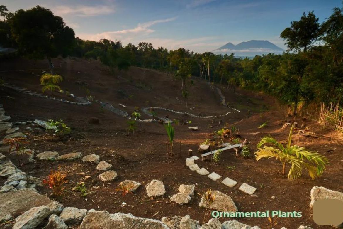 Land for Sale in Sumucab, Cavinti, Laguna – photo 4