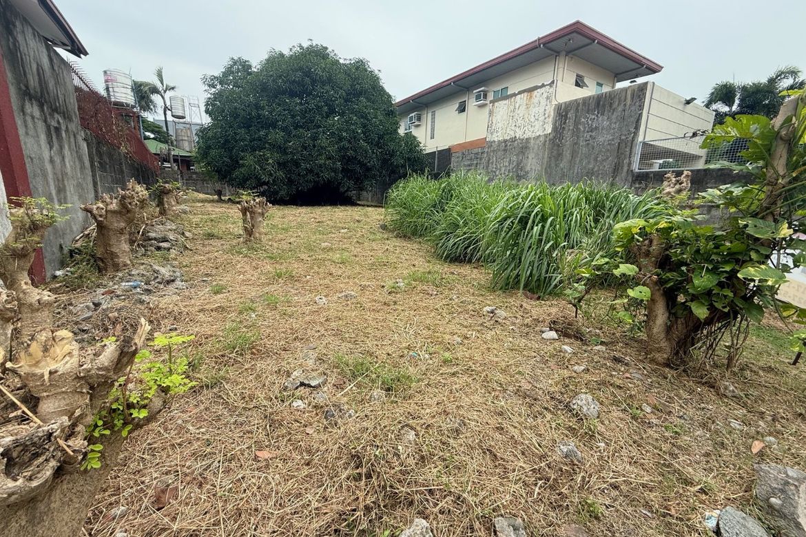Land for Sale in Sun Valley, Parañaque, Metro Manila – photo 4