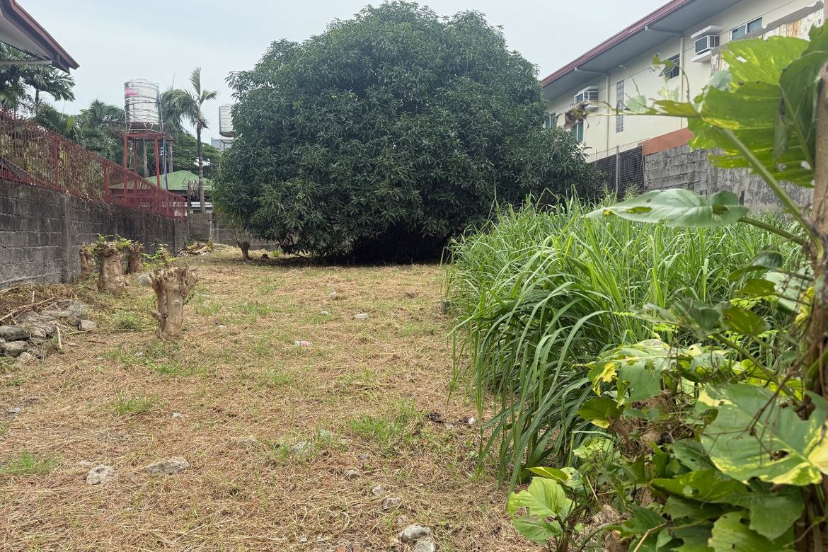 Land for Sale in Sun Valley, Parañaque, Metro Manila – photo 5
