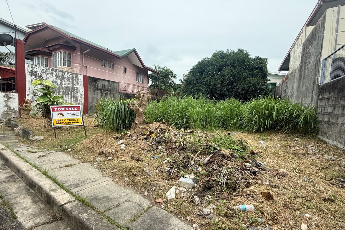 Land for Sale in Sun Valley, Parañaque, Metro Manila – photo 6