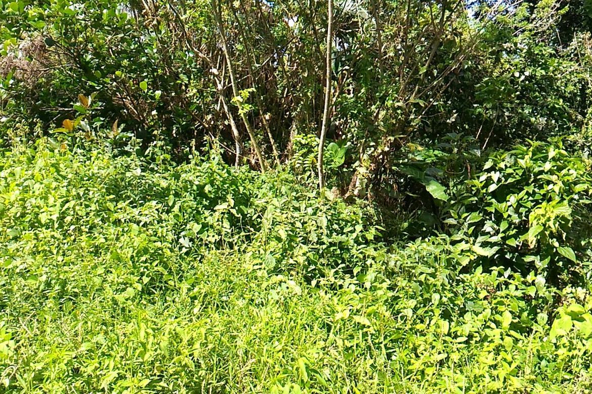 Land for Sale in Sun Valley, Parañaque, Metro Manila