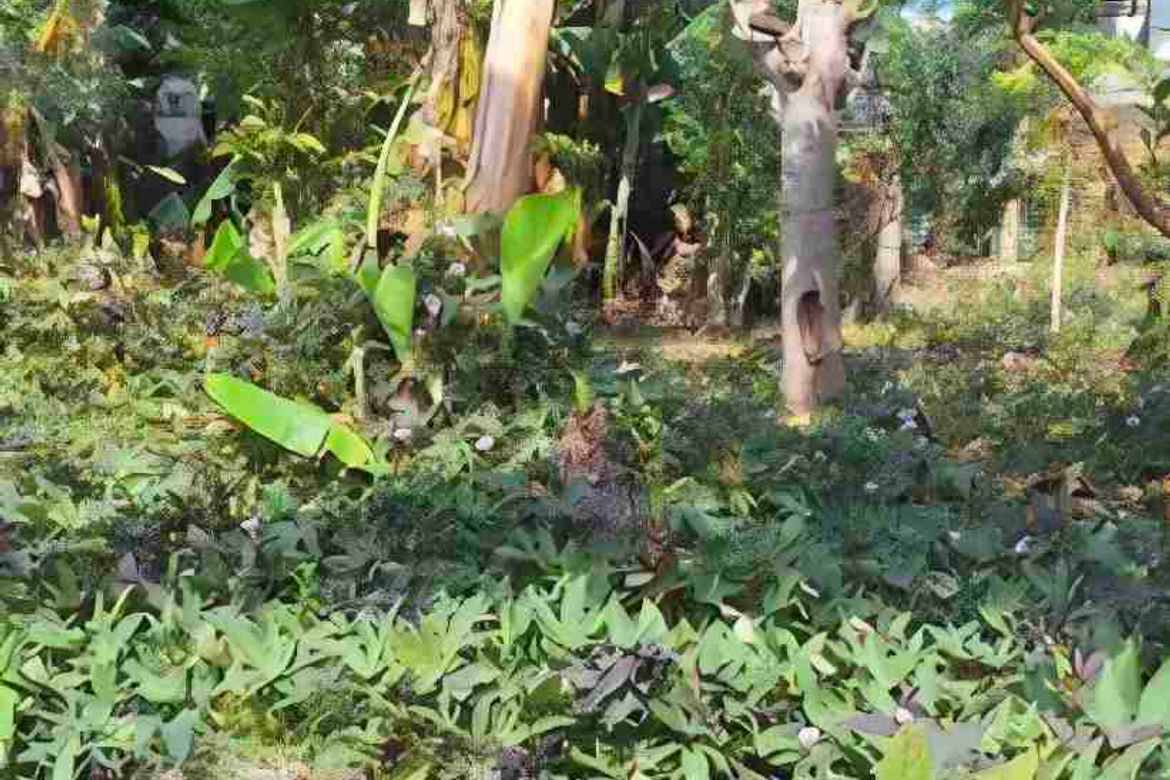 Land for Sale in Sun Valley, Parañaque, Metro Manila – photo 3