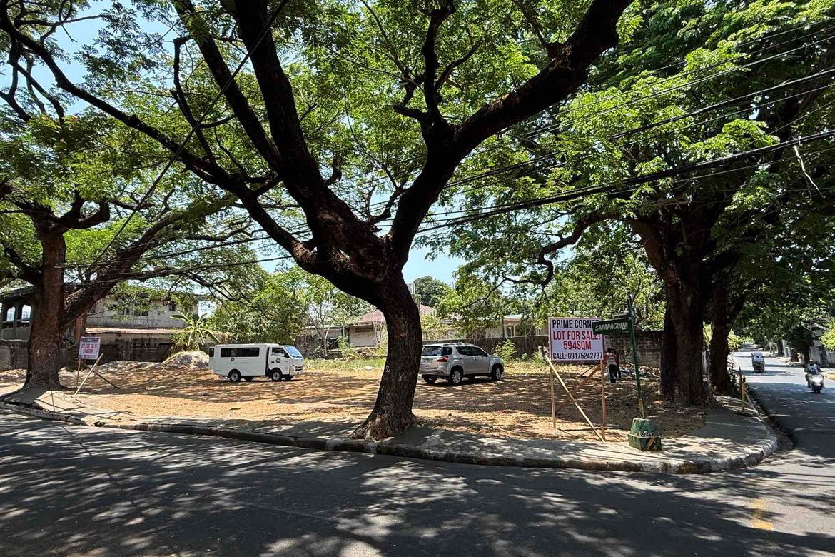 Land for Sale in Sun Valley, Parañaque, Metro Manila – photo 8