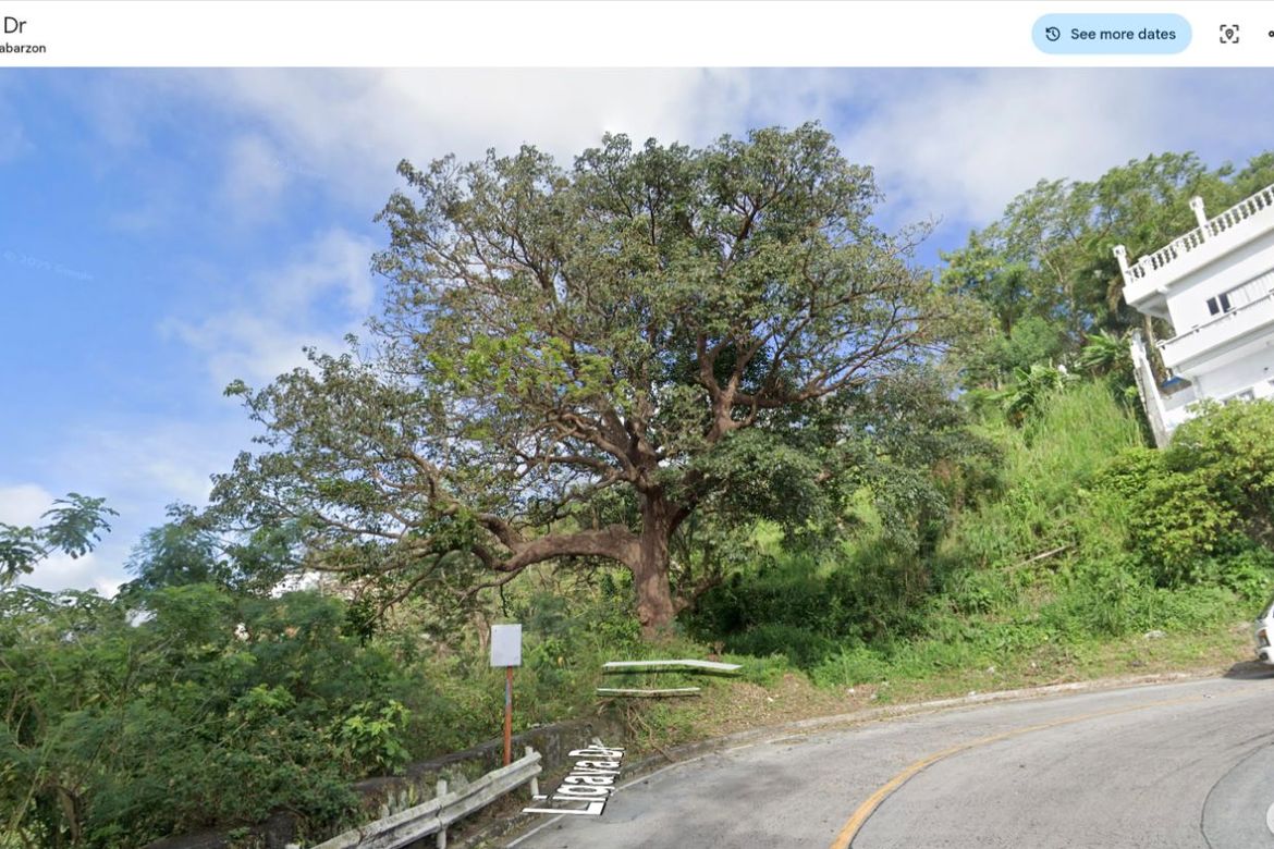 Land for Sale in Sungay North, Tagaytay, Cavite – photo 3