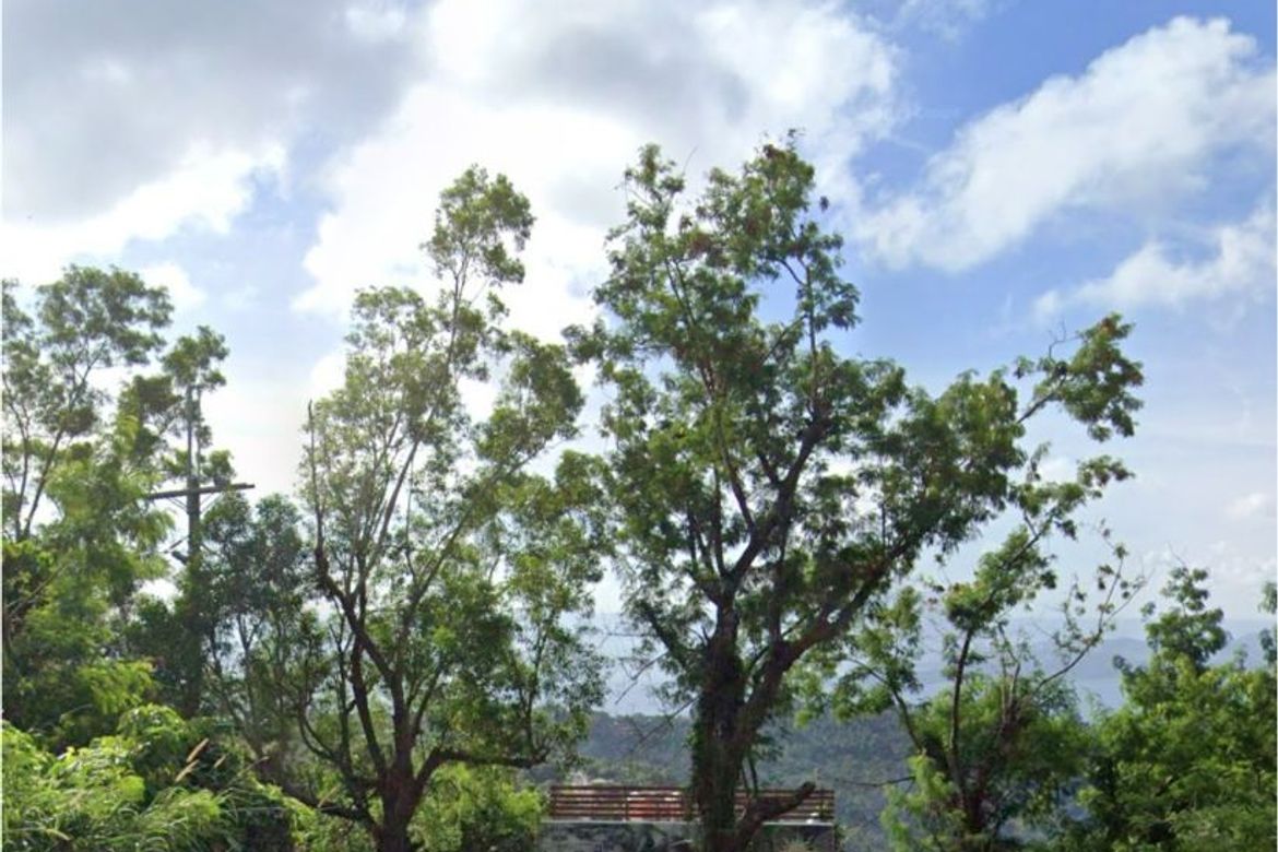 Land for Sale in Sungay North, Tagaytay, Cavite – photo 4