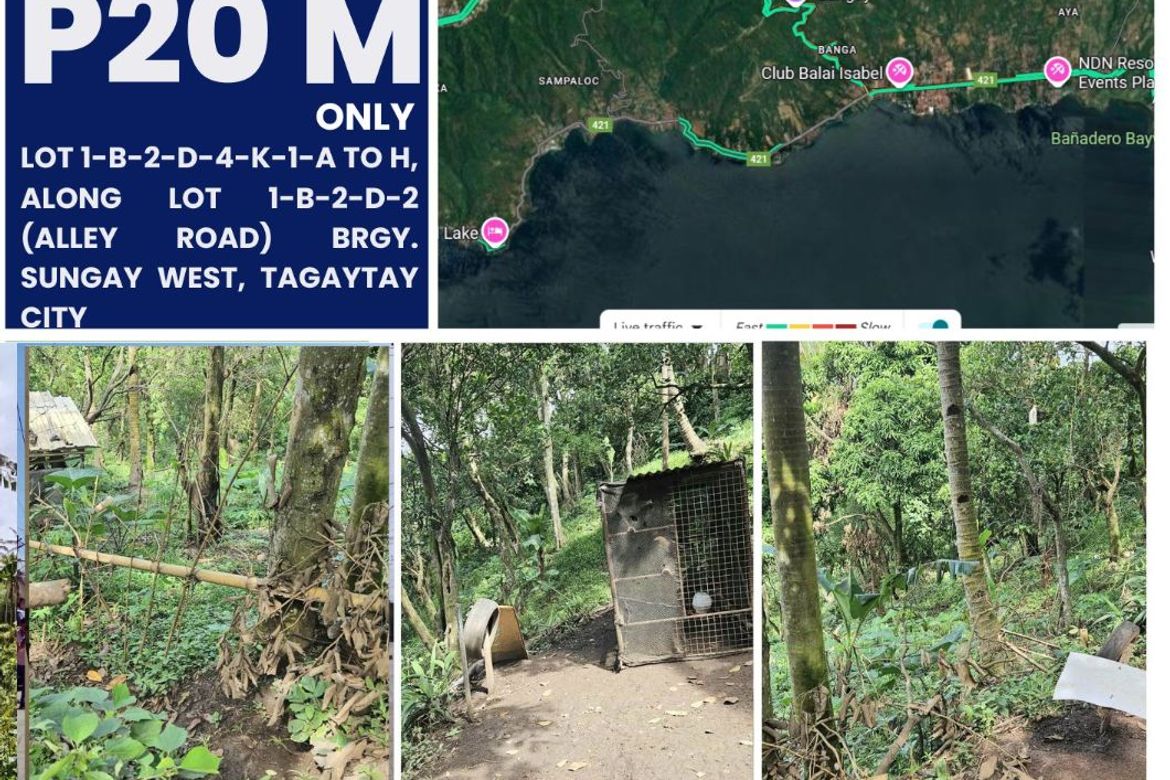 Land for Sale in Sungay North, Tagaytay, Cavite – photo 3