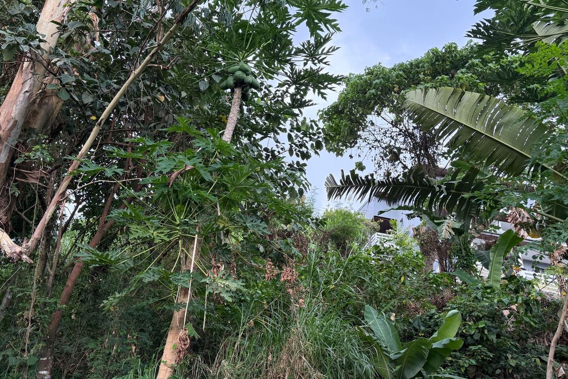Land for Sale in Sungay North, Tagaytay, Cavite – photo 4