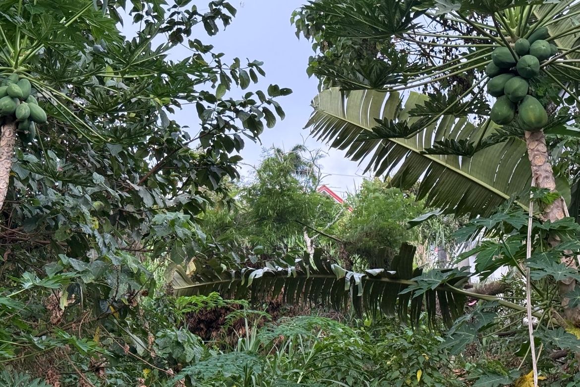 Land for Sale in Sungay North, Tagaytay, Cavite – photo 5