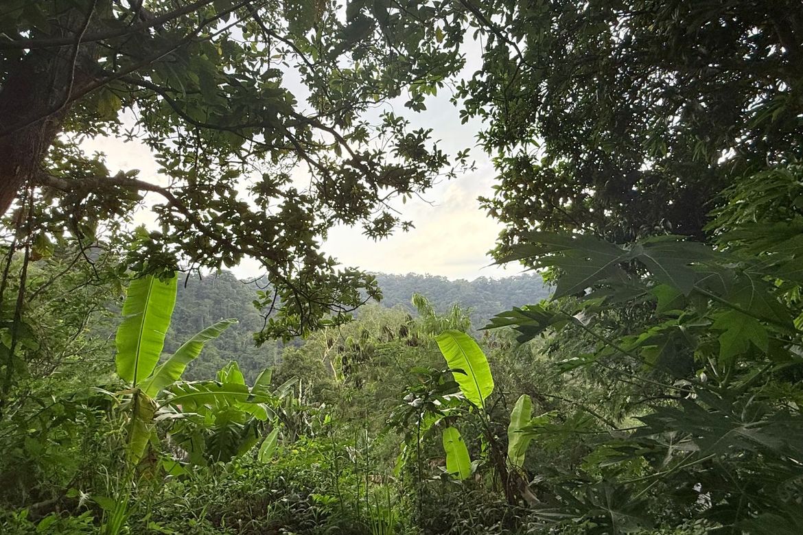 Land for Sale in Sungay North, Tagaytay, Cavite – photo 7
