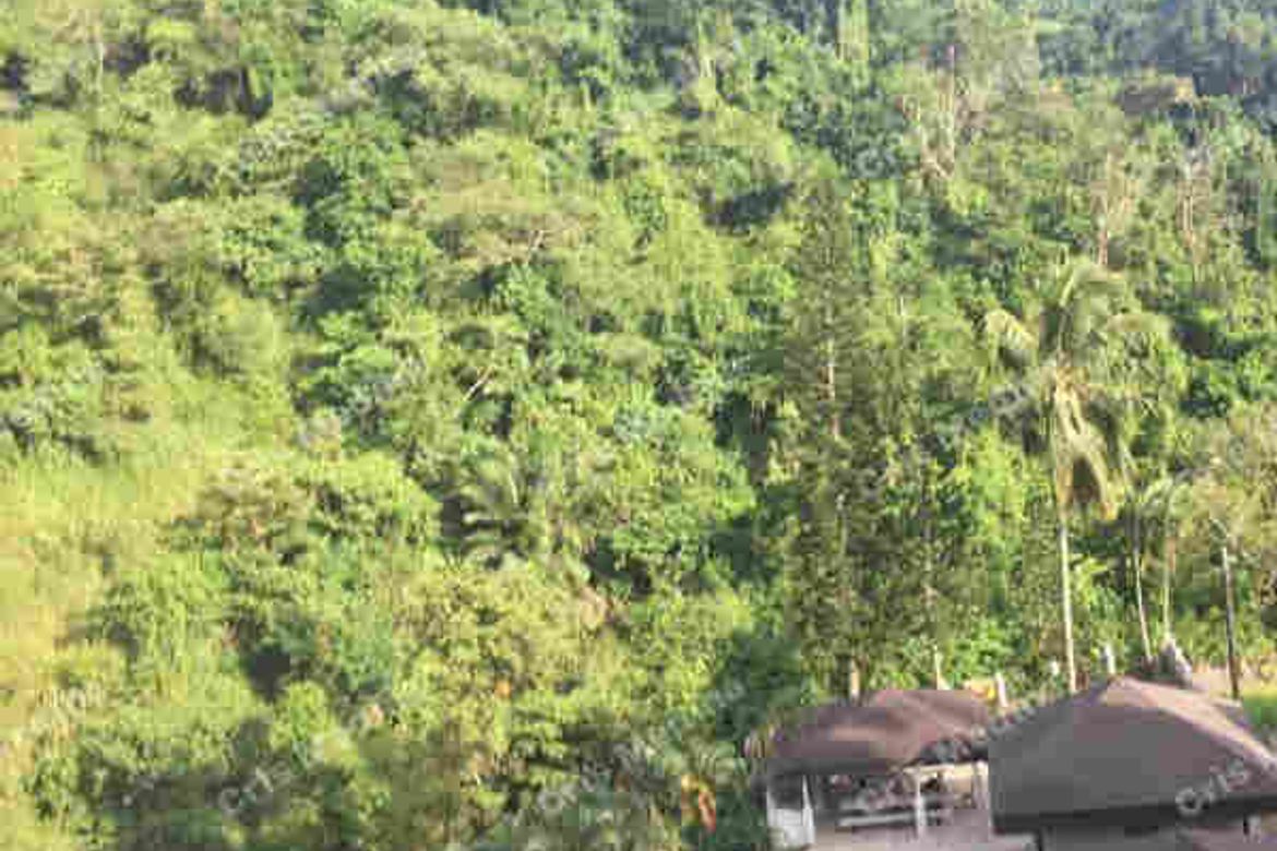 Land for Sale in Sungay North, Tagaytay, Cavite – photo 3