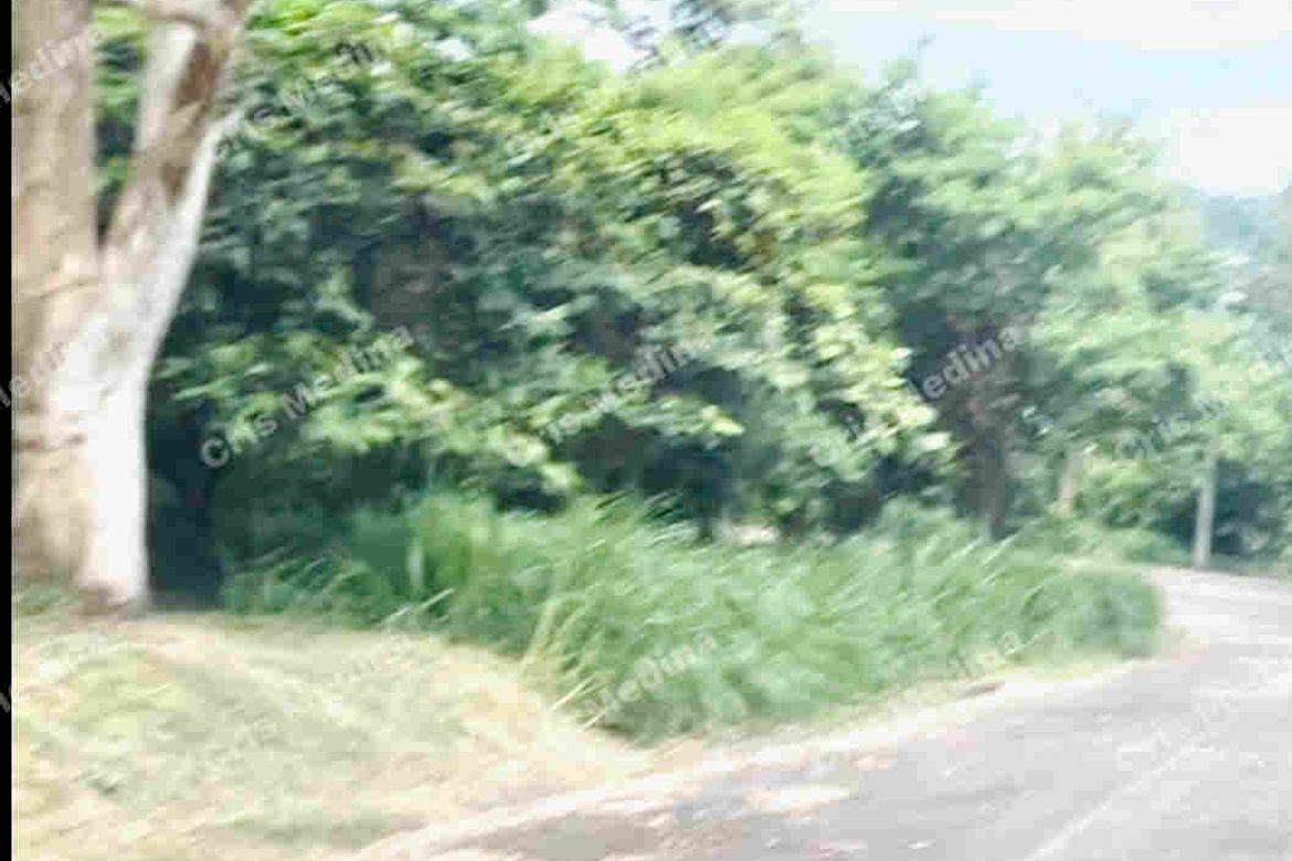 Land for Sale in Sungay North, Tagaytay, Cavite – photo 6