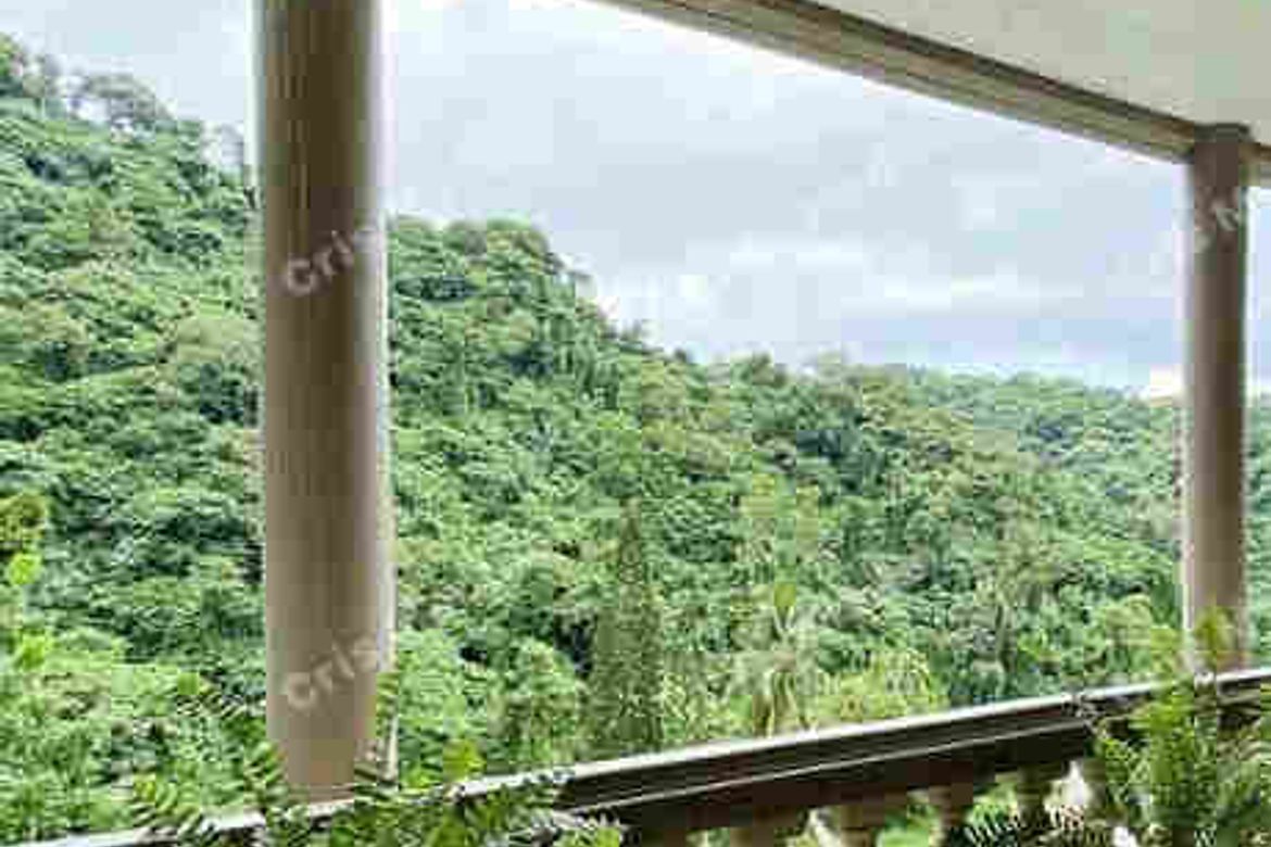Land for Sale in Sungay North, Tagaytay, Cavite – photo 8
