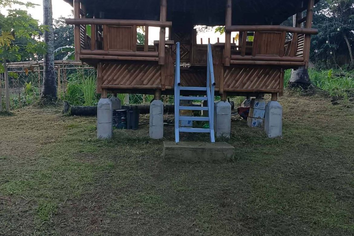 Land for Sale in Suplang, Tanauan, Batangas – photo 6