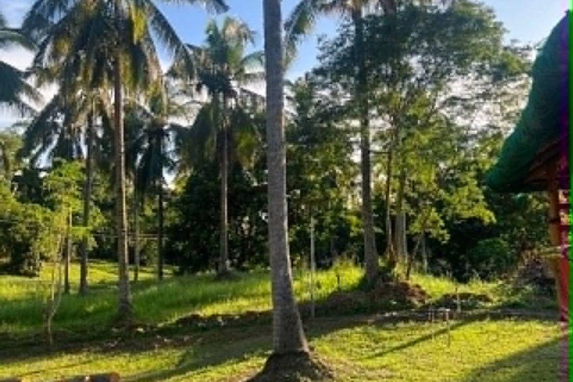 Land for Sale in Suplang, Tanauan, Batangas – photo 7