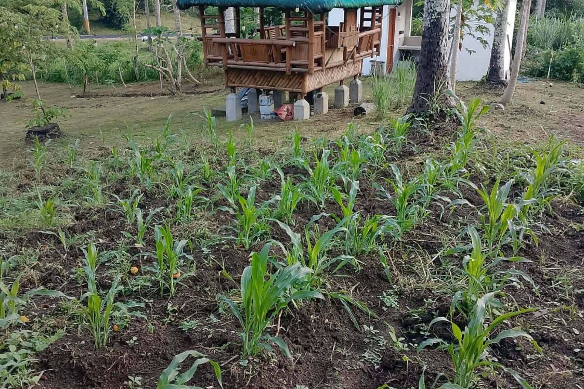 Land for Sale in Suplang, Tanauan, Batangas – photo 8