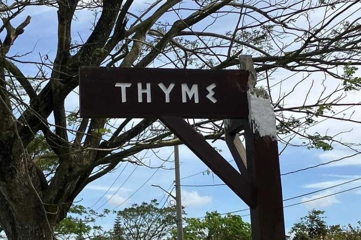 Land for Sale in Suplang, Tanauan, Batangas