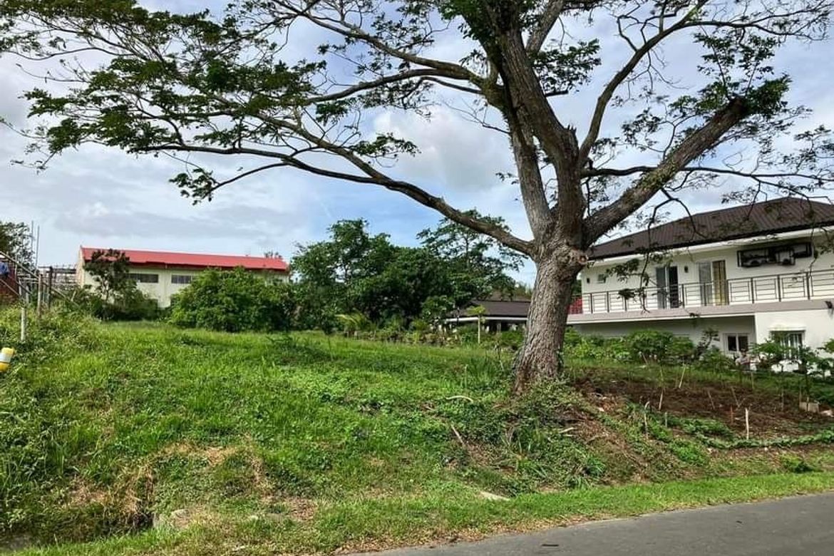 Land for Sale in Suplang, Tanauan, Batangas – photo 4