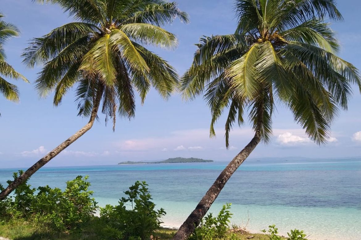 Land for Sale in Suyangan, General Luna, Surigao del Norte – photo 2