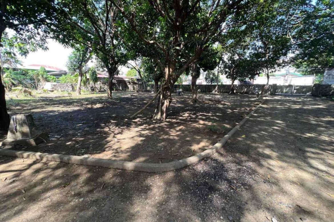 Land for Sale in Taal, Pulilan, Bulacan