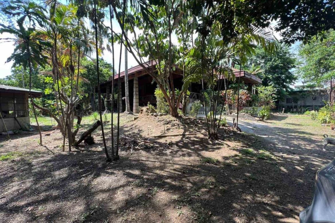Land for Sale in Taal, Pulilan, Bulacan – photo 3