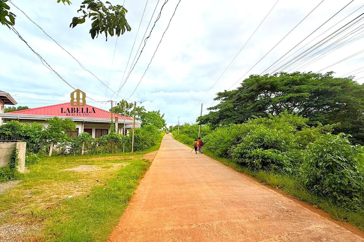 Land for Sale in Tabalong, Dauis, Bohol – photo 6