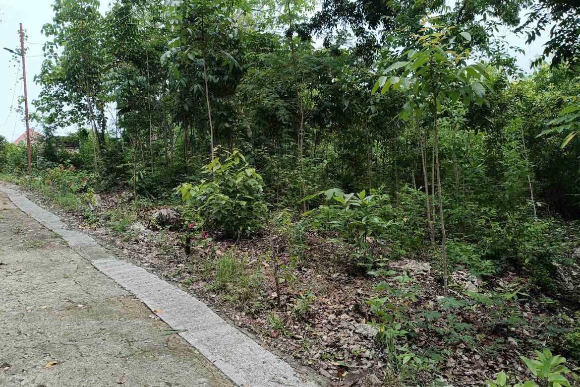Land for Sale in Tabalong, Dauis, Bohol – photo 3
