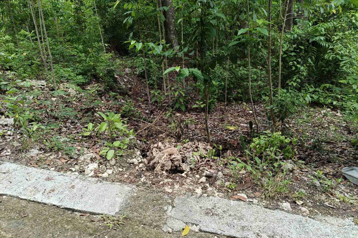 Land for Sale in Tabalong, Dauis, Bohol – photo 5