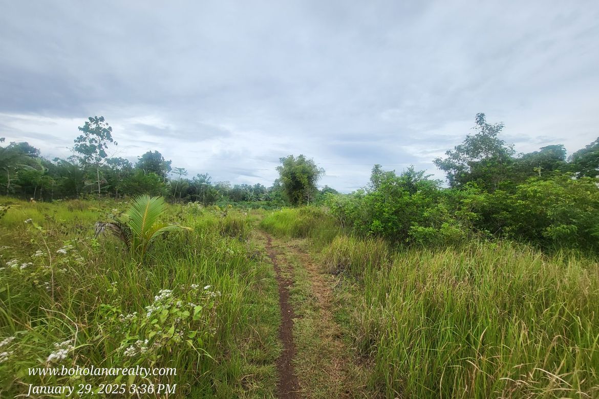 Land for Sale in Tabalong, Dauis, Bohol