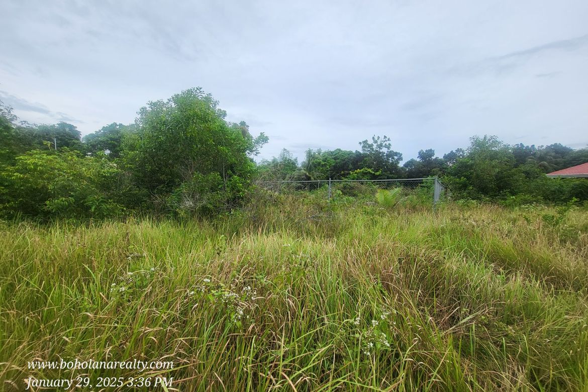 Land for Sale in Tabalong, Dauis, Bohol – photo 2