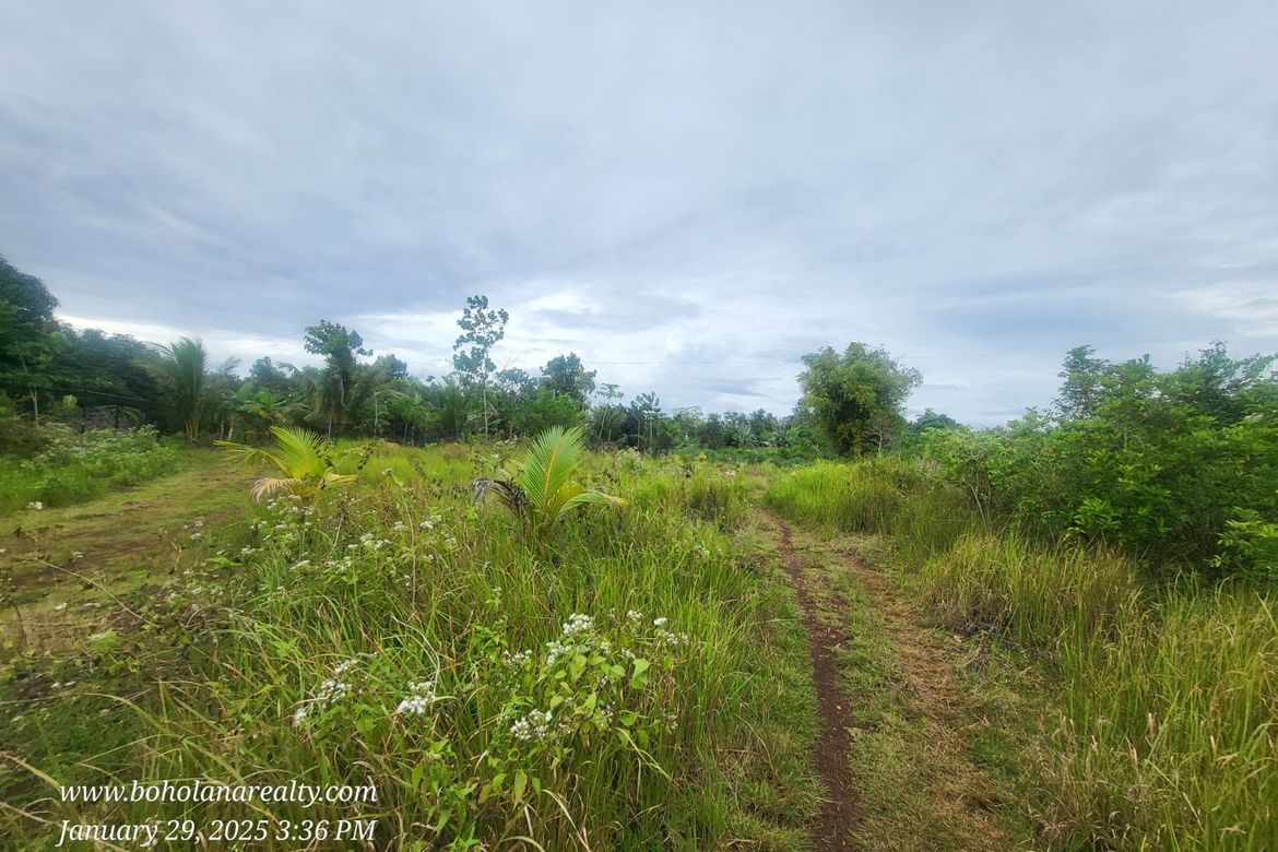Land for Sale in Tabalong, Dauis, Bohol – photo 3