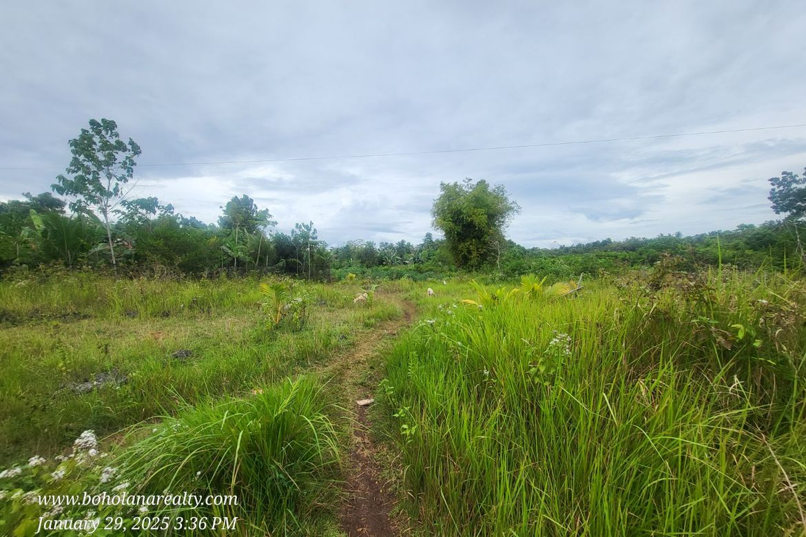 Land for Sale in Tabalong, Dauis, Bohol – photo 5