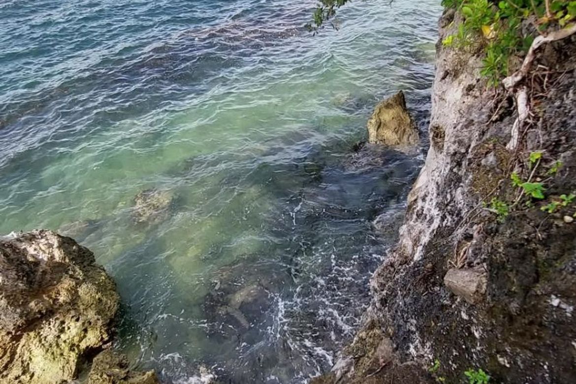 Land for Sale in Tabalong, Dauis, Bohol