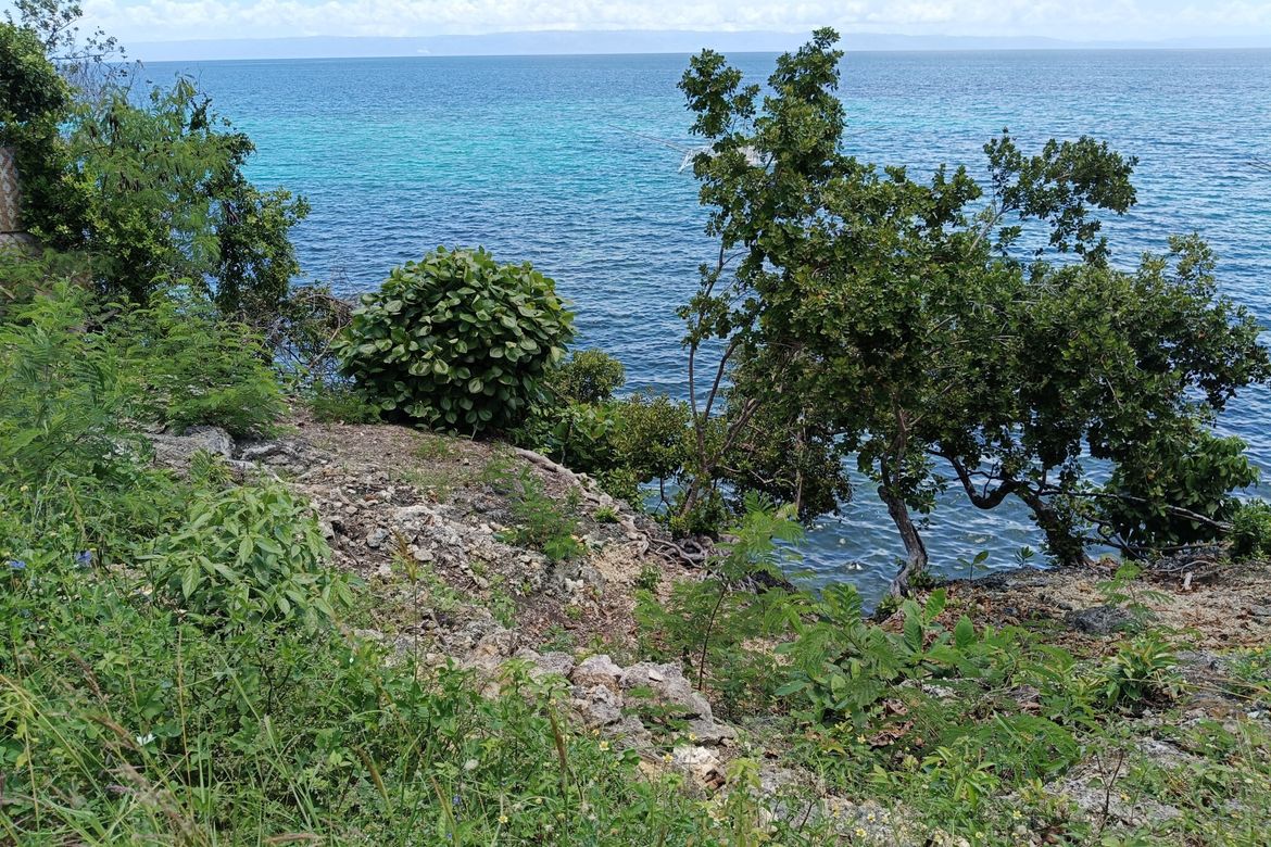 Land for Sale in Tabalong, Dauis, Bohol