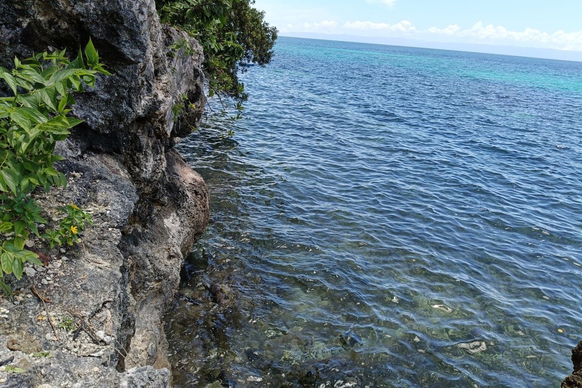 Land for Sale in Tabalong, Dauis, Bohol – photo 3