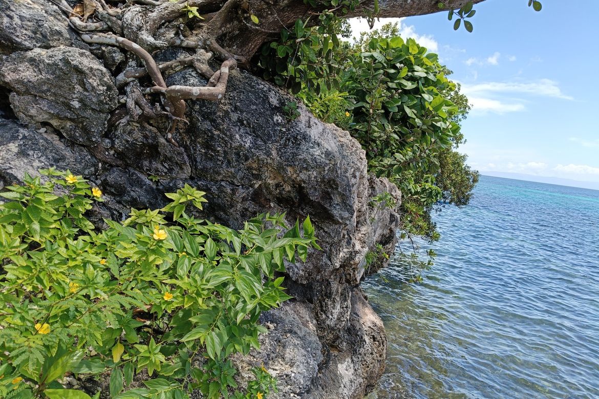Land for Sale in Tabalong, Dauis, Bohol – photo 7