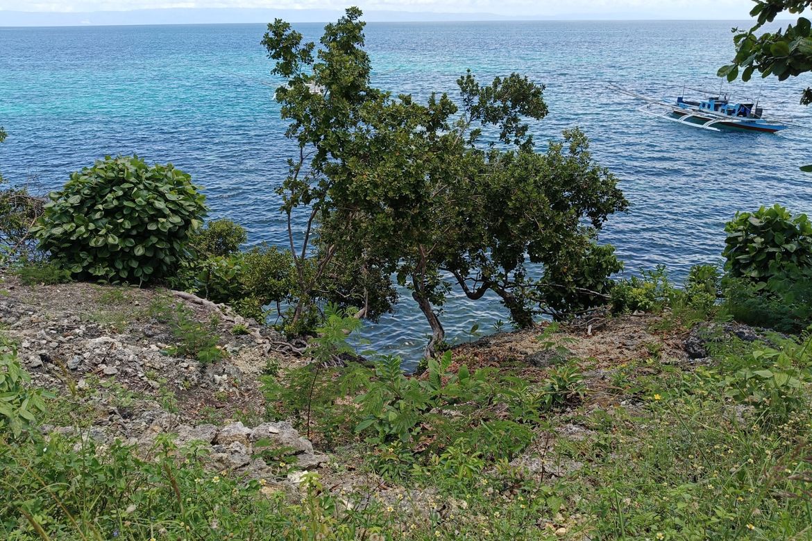 Land for Sale in Tabalong, Dauis, Bohol – photo 8