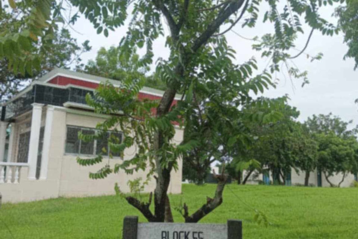 Land for Sale in Tabang, Plaridel, Bulacan – photo 7