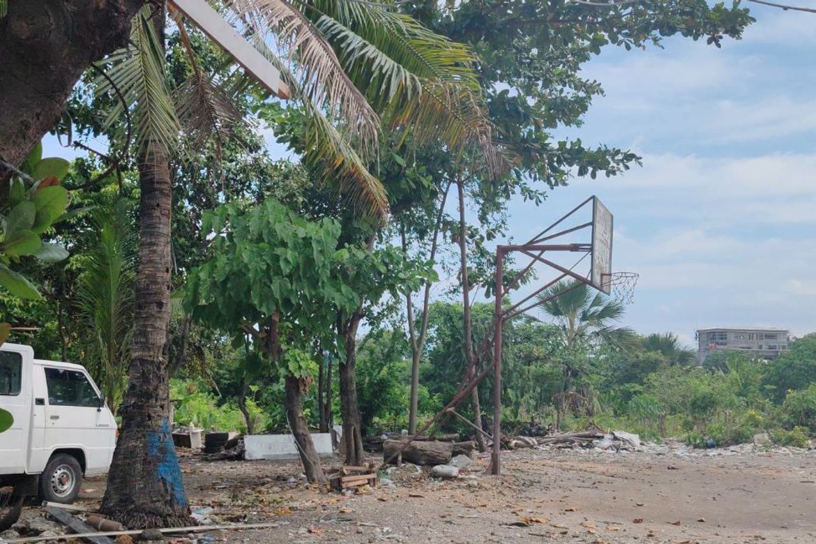 Land for Sale in Tabok, Mandaue, Cebu – photo 2