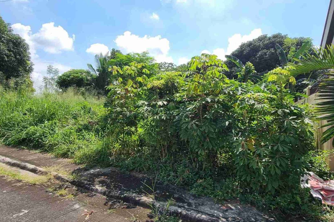Land for Sale in Tabun, Mabalacat, Pampanga – photo 3
