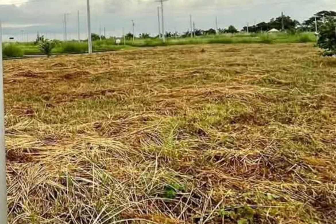 Land for Sale in Tabun, Mabalacat, Pampanga – photo 4