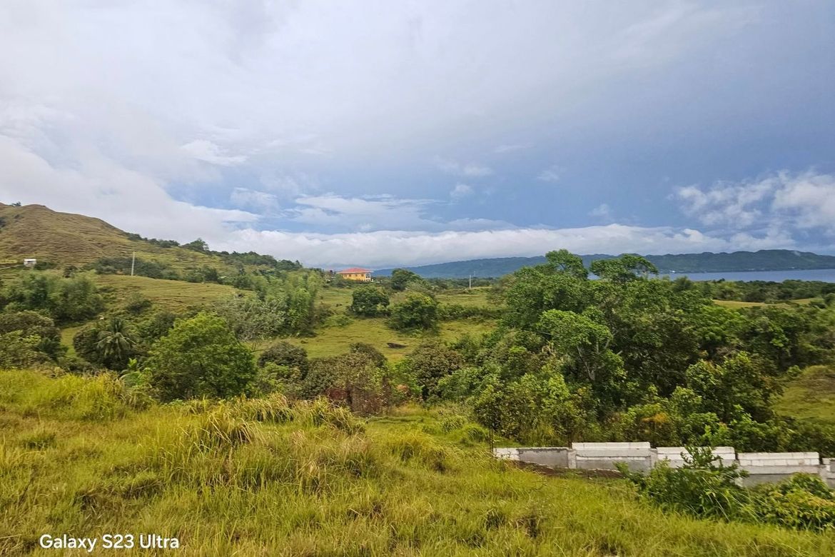 Land for Sale in Tabunok, Guindulman, Bohol – photo 2