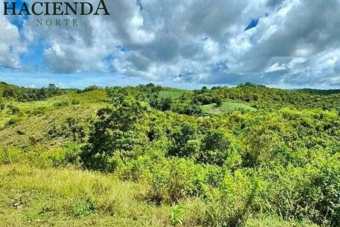 Land for Sale in Tabunok, Tabuelan, Cebu – photo 2