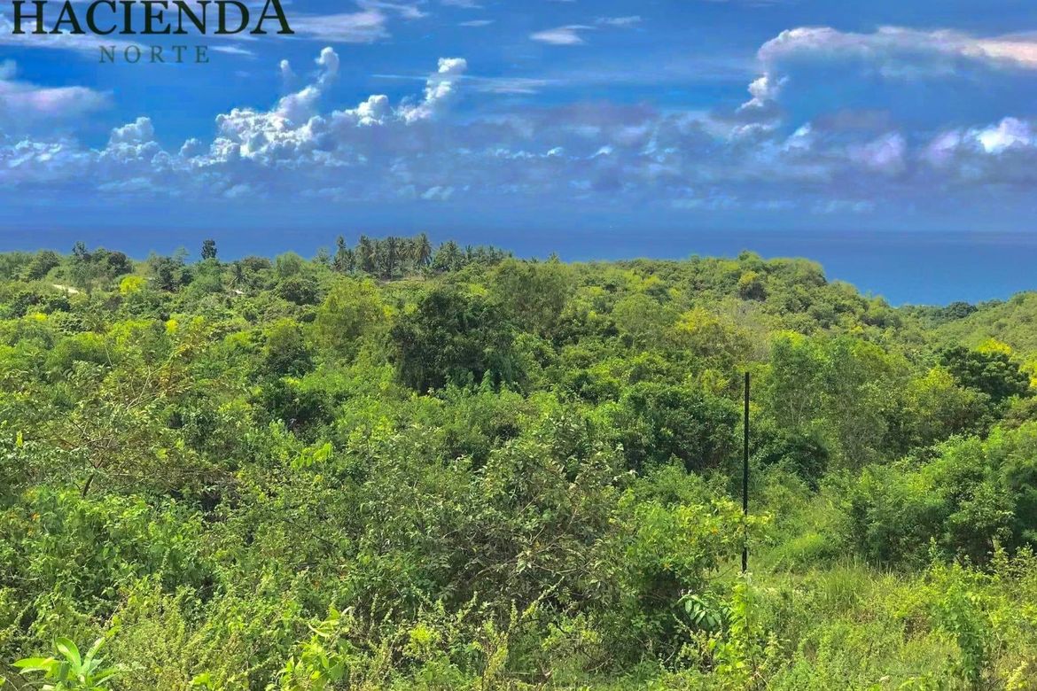 Land for Sale in Tabunok, Tabuelan, Cebu – photo 3