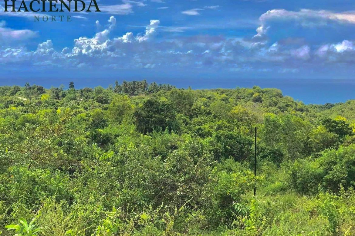 Land for Sale in Tabunok, Tabuelan, Cebu – photo 4