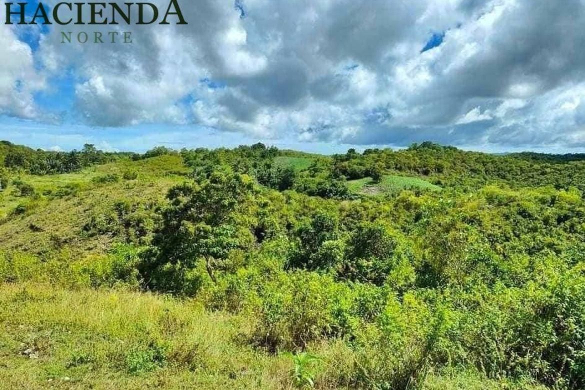 Land for Sale in Tabunok, Tabuelan, Cebu – photo 5
