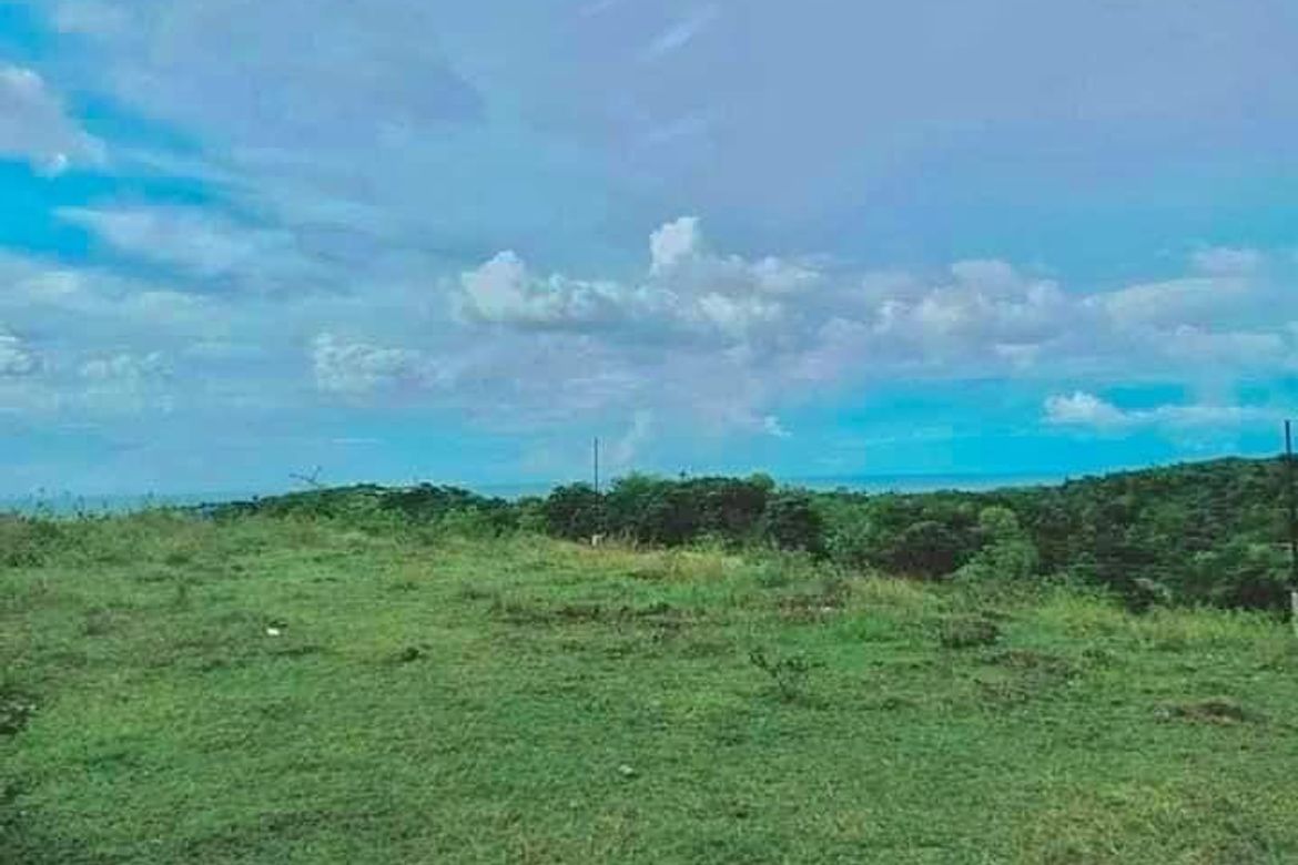 Land for Sale in Tabunok, Tabuelan, Cebu – photo 6